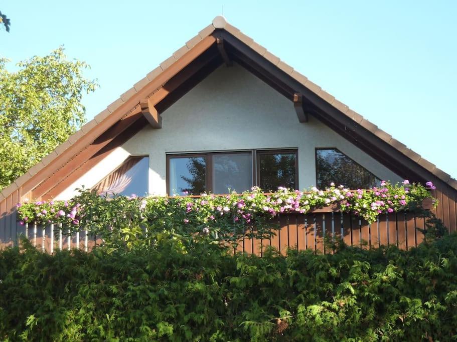 Ferienwohnung Am Stadtrand Von Berlin Neu Buch ภายนอก รูปภาพ